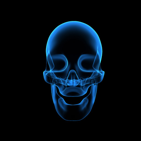Skullの写真素材
