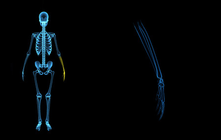 Skeleton handsの写真素材