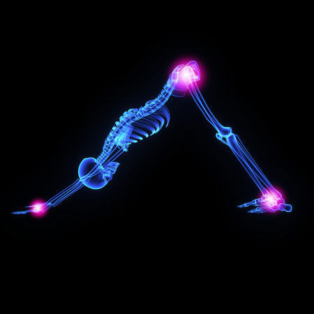 Skeleton legの写真素材