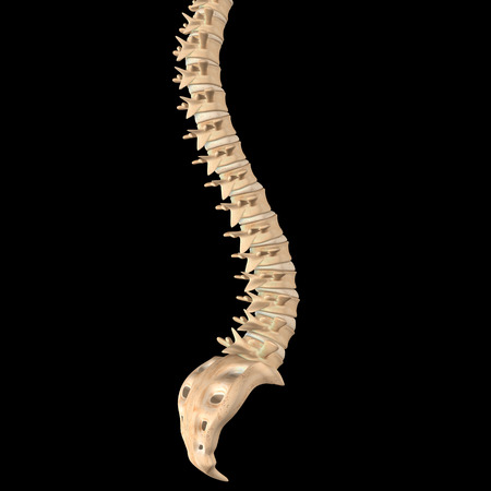 Backbone