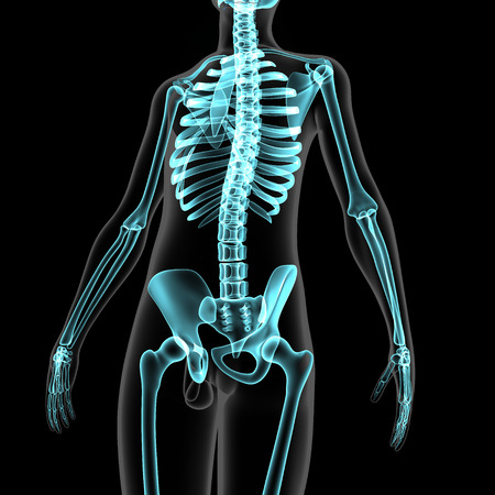 Skeletonの写真素材