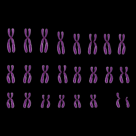 human chromosomeの写真素材