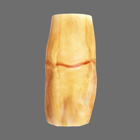 frontal selection of boneの写真素材