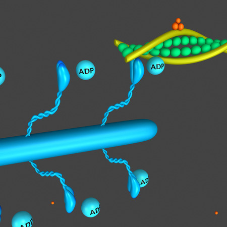 proteinsの写真素材