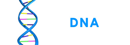 DNAの写真素材