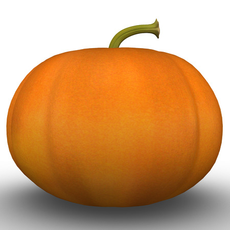 Cucurbita maximaの写真素材