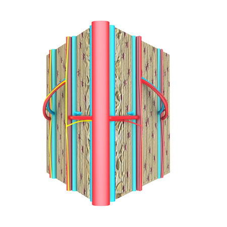 Bone Sectionの写真素材