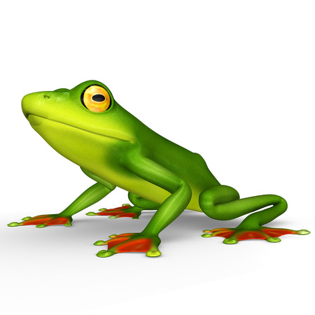 Flying frogの写真素材