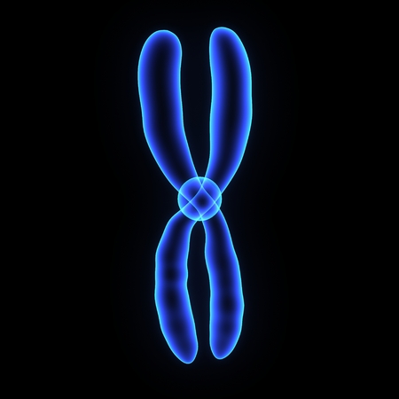 Chromosomeの写真素材