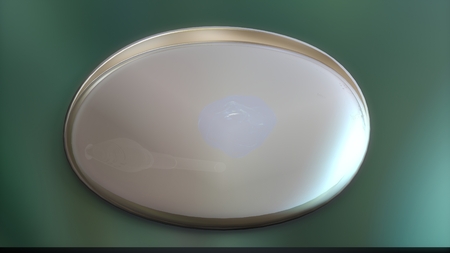 In vitro fertilizationの写真素材