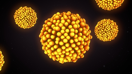 Egg Fertilizationの写真素材