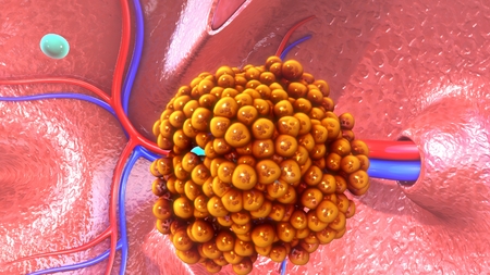 Tuberculosis Virus