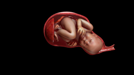 Normal labor and vaginal birthの写真素材