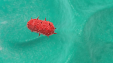 Macrophage destroying bacteriaの写真素材