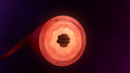 Diameter of the blood vesselsの写真素材