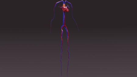 Circulatory System aerialの写真素材