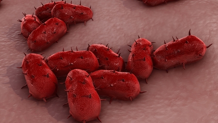 Bacterial Meningitis closeupの写真素材