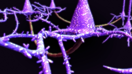 Neuron closeupの写真素材