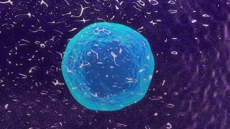 Cytotoxic T Cell Closeupの写真素材