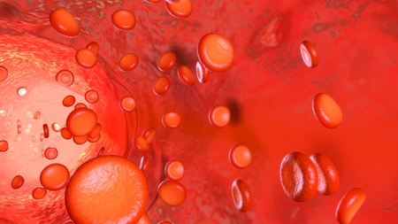 Blood Flow closeupの写真素材