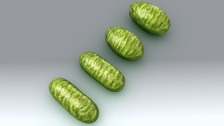 Bacteria backの写真素材