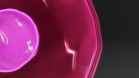 T Cell TS backの写真素材