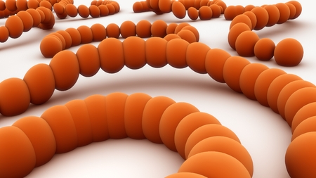 Aerobic bacteria front