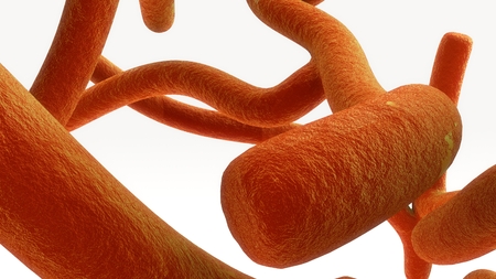 Actinomyces topの写真素材