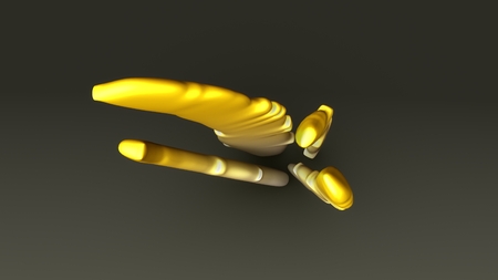 Ascomycetes topの写真素材