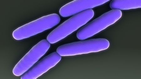 Bacteria Multiplication aerial