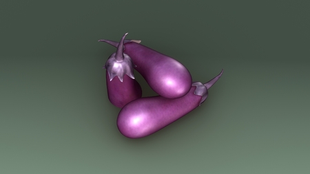 Solanum melongena frontの写真素材