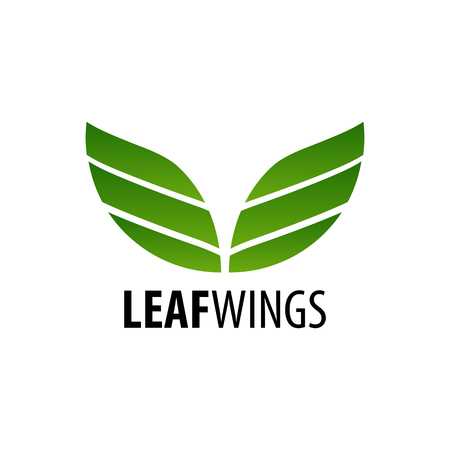 Leaf wings logo concept design. Symbol graphic template element vectorのイラスト素材