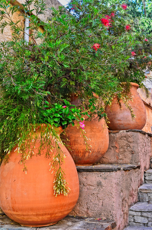 Terracotta vases with flowers colors of the provence Franceの写真素材