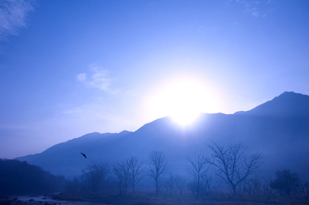 Mountain fog landscape scenery viewの写真素材