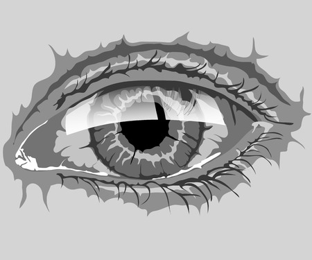 eye in monochrome technique with highlights of lightの写真素材