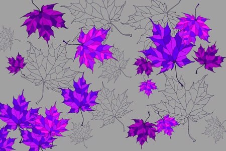 Hand drawn background with beautiful maple leaves. Vector background.のイラスト素材