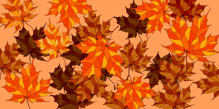 Vector background with beautiful maple leaves.の写真素材
