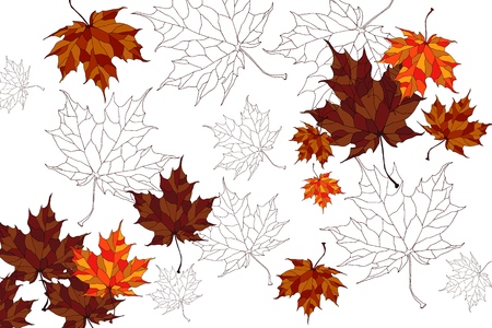 Vector background with beautiful maple leaves.の写真素材