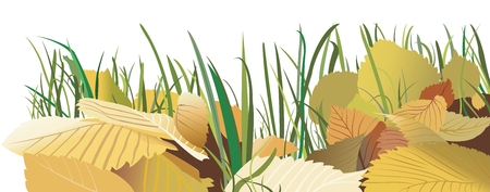 Vector background with autumn leaves and green grassのイラスト素材