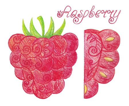 Hand drawn raspberry: whole and half. Vector illustrationのイラスト素材