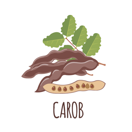 Carob vector logo  in flat style. Isolated object. Superfood carob. Vector illustration.のイラスト素材