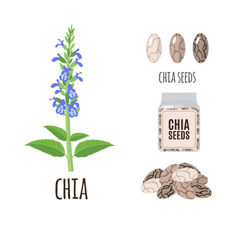 Superfood chia set in flat style: chia seeds, packaging. Organic healthy food. Isolated objects on white background. Vector illustrationのイラスト素材