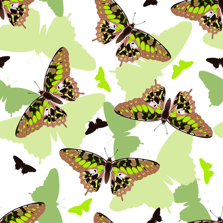 Abstract butterflies seamless pattern on white background. Blue butterflies, Vector illustrationのイラスト素材