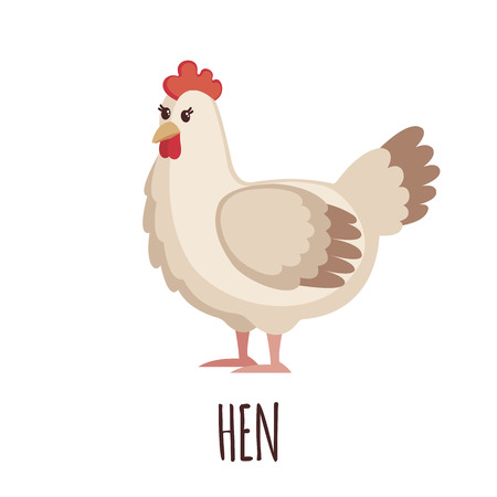 Cute white hen in flat style isolated on white background. Vector illustration. Farm bird. Cartoon Hen.のイラスト素材