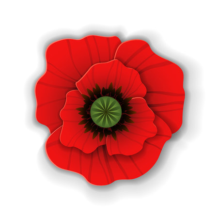 Cute red poppy flower in paper art style isolated on white background. Origami poppy. Vector illustration.のイラスト素材