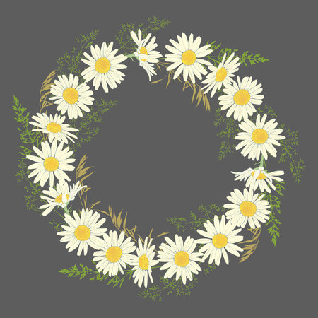 Hand drawn Chamomile flowers wreath on grey background. Spring summer decor frame. Vector illustration. Design element for invitations, greeting cards, cosmetic and other.のイラスト素材