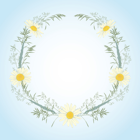 Hand drawn wreath with chamomile and herbs.のイラスト素材
