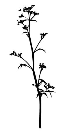 Floral seamless pattern with wildflowers isolated on blue background. Cute romantic flowers. Summer concept. Design element for textile, fabrics, scrapbooking, wallpaper and etc. Vector illustration.のイラスト素材