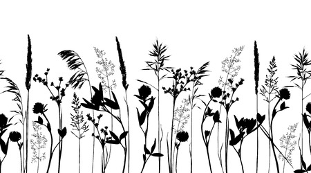 Seamless horizontal border with wild herbs and flowers, silhouettes isolated on white.のイラスト素材