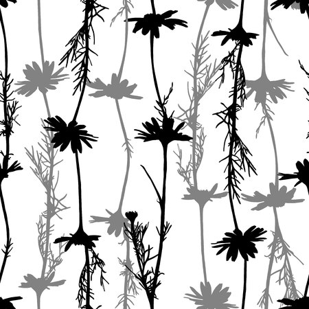 Floral seamless pattern with chamomile silhouettes. Vector illustration.のイラスト素材